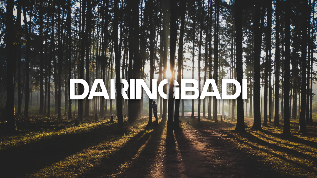 Route image for Bhubaneswar to Daringbadi