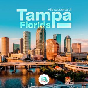 Tampa Florida Image